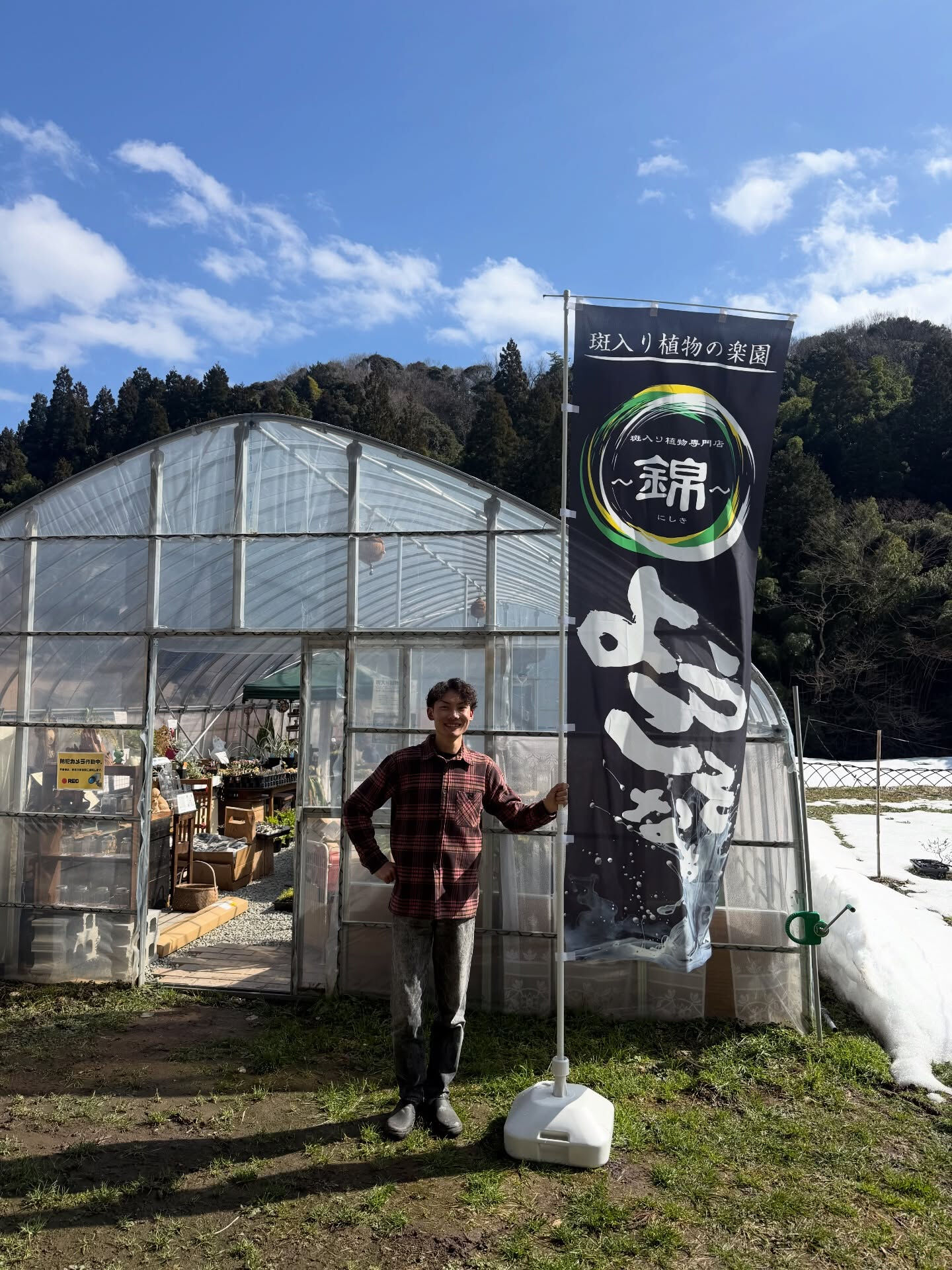 斑入り植物専門店〜錦〜です