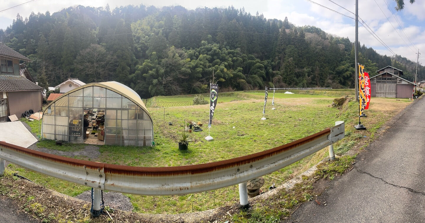 斑入り植物専門店〜錦〜です