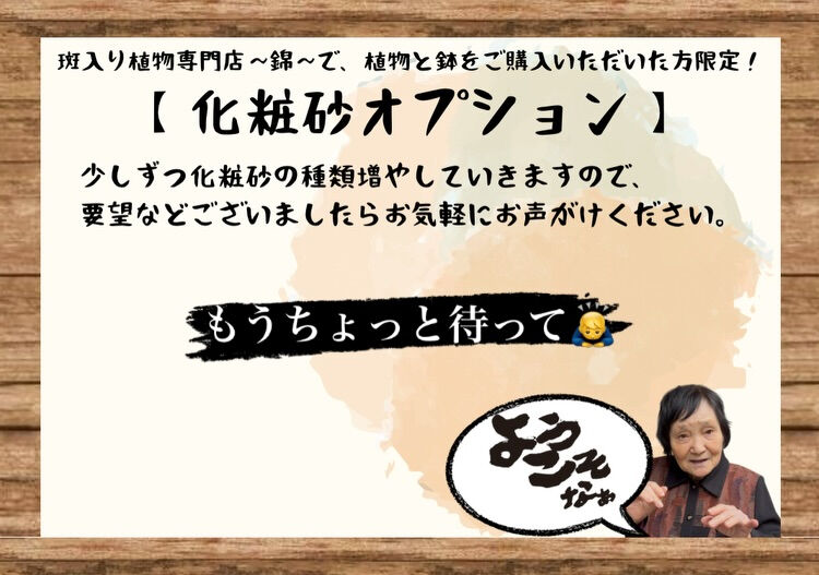 斑入り植物専門店〜錦〜です