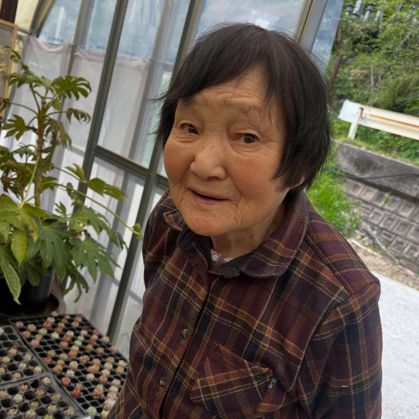 斑入り植物専門店〜錦〜です