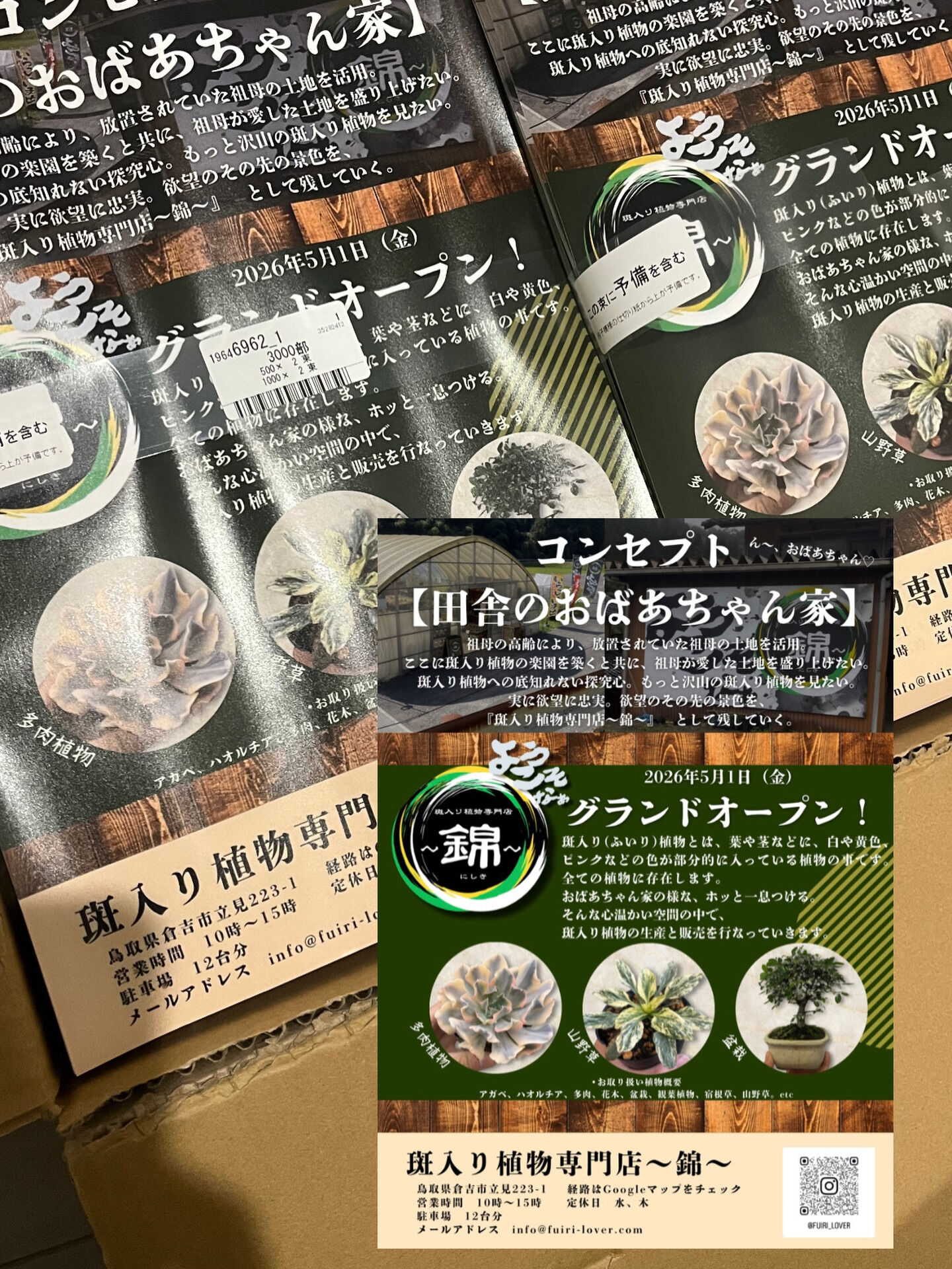 斑入り植物専門店〜錦〜です
