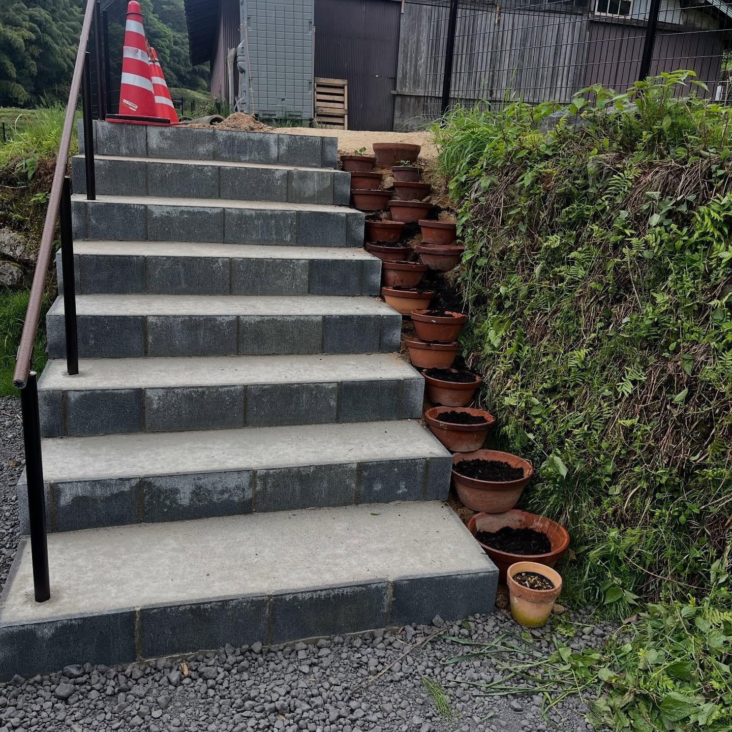 斑入り植物専門店〜錦〜です