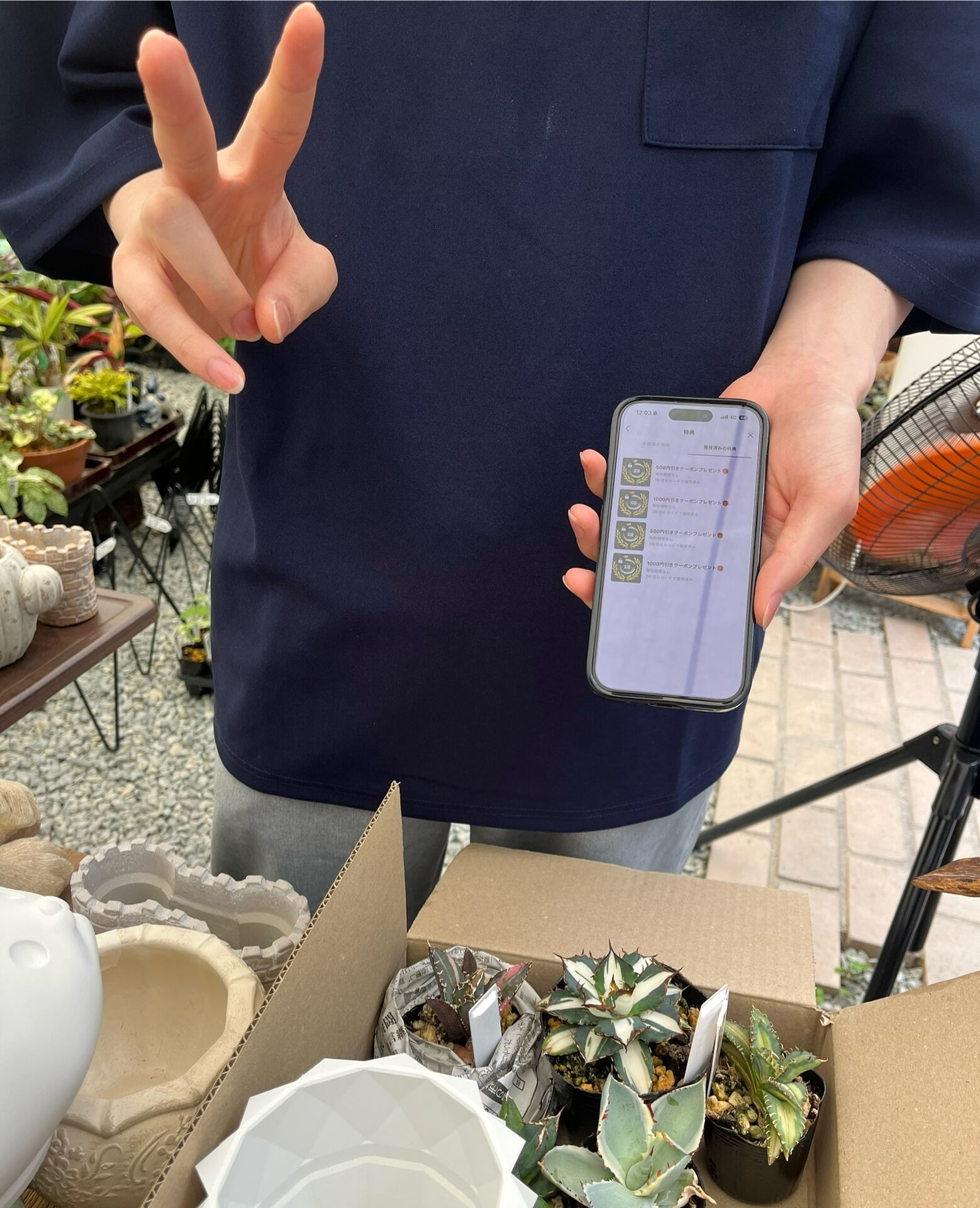 斑入り植物専門店〜錦〜です🔥