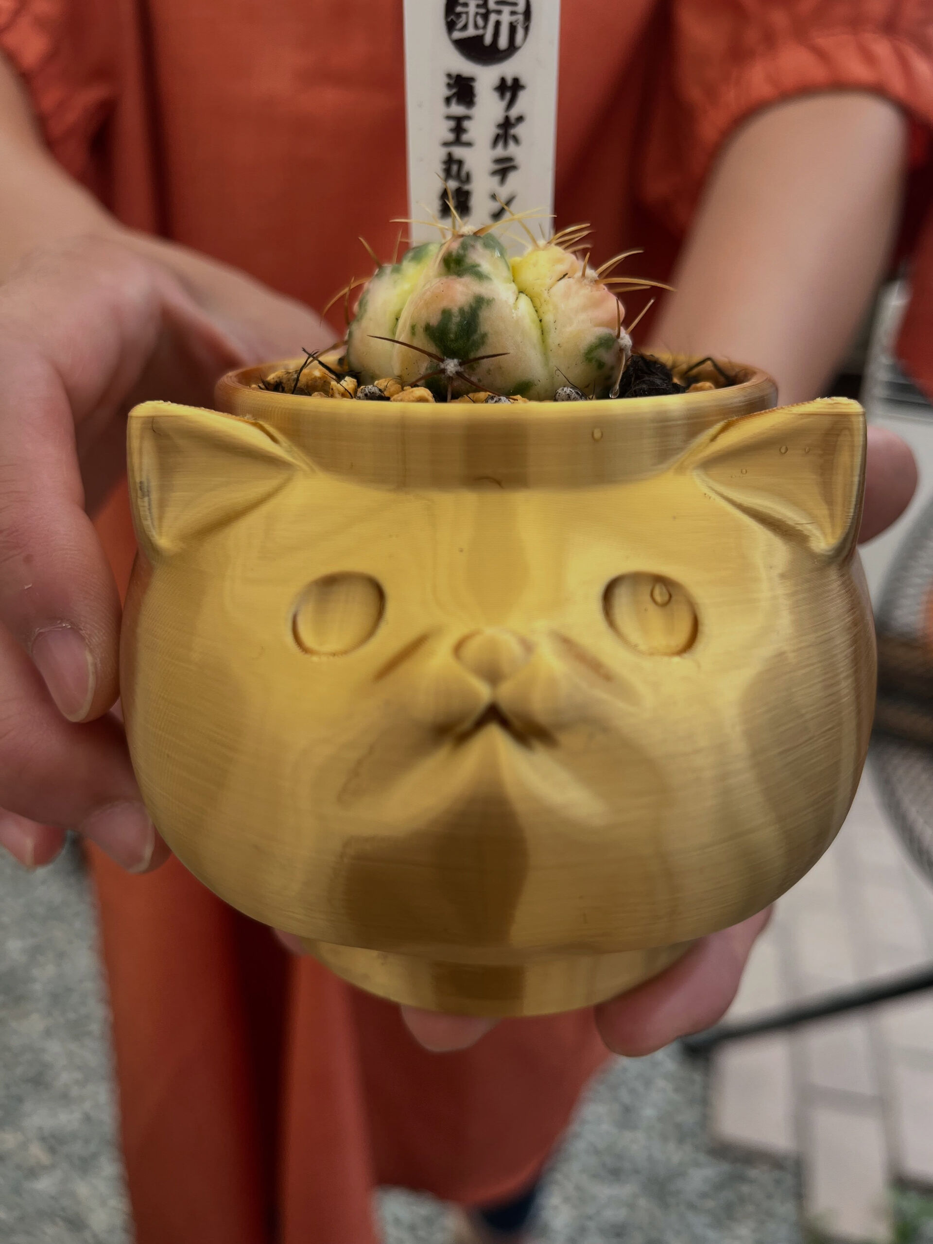 斑入り植物専門店〜錦〜です