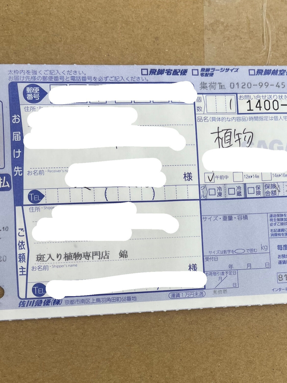 斑入り植物専門店〜錦〜です