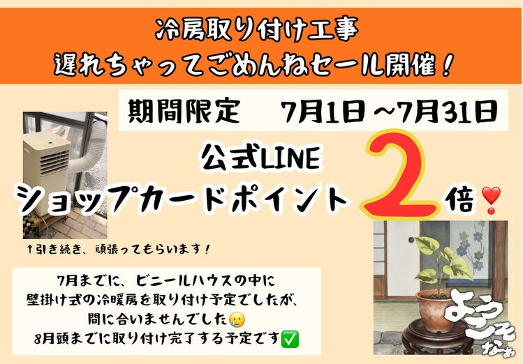 斑入り植物専門店〜錦〜です