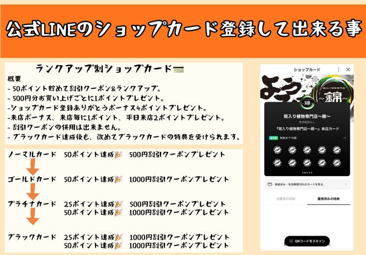 斑入り植物専門店〜錦〜です