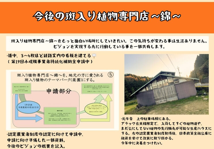 斑入り植物専門店〜錦〜です