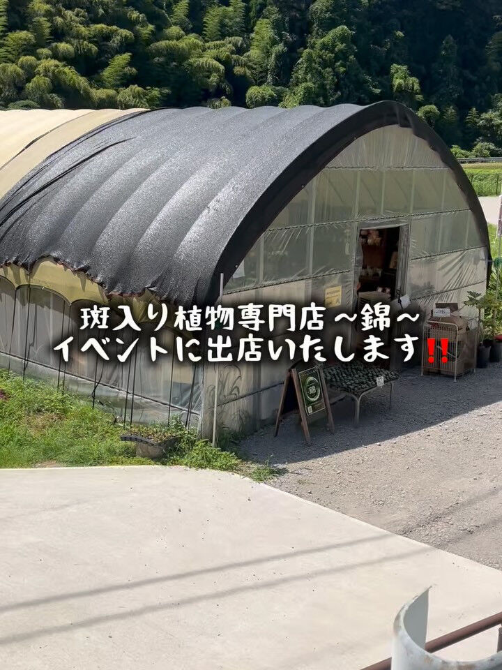 どうも🙋🏻‍♀️錦スタッフです☆