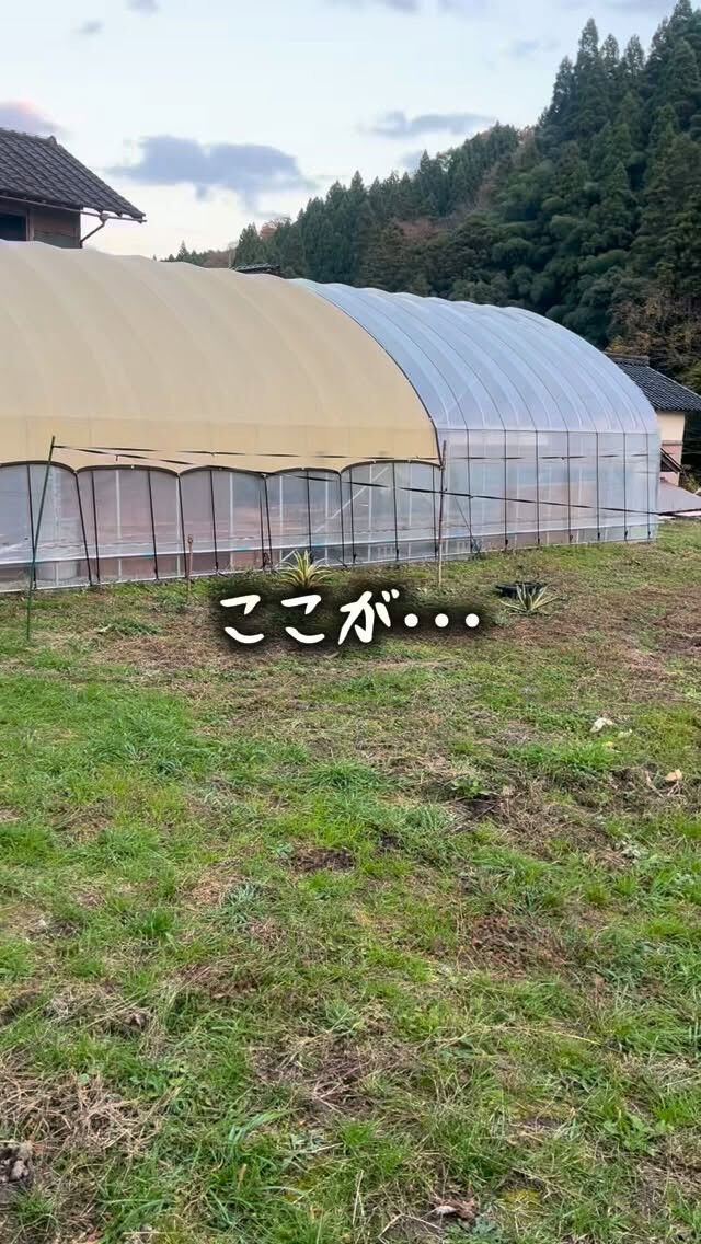 どうも🙋🏻‍♀️錦スタッフです☆