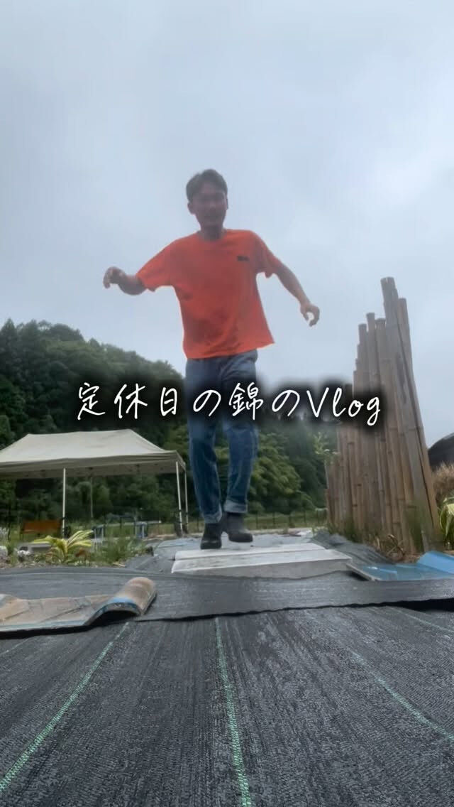 錦の定休日は、水木