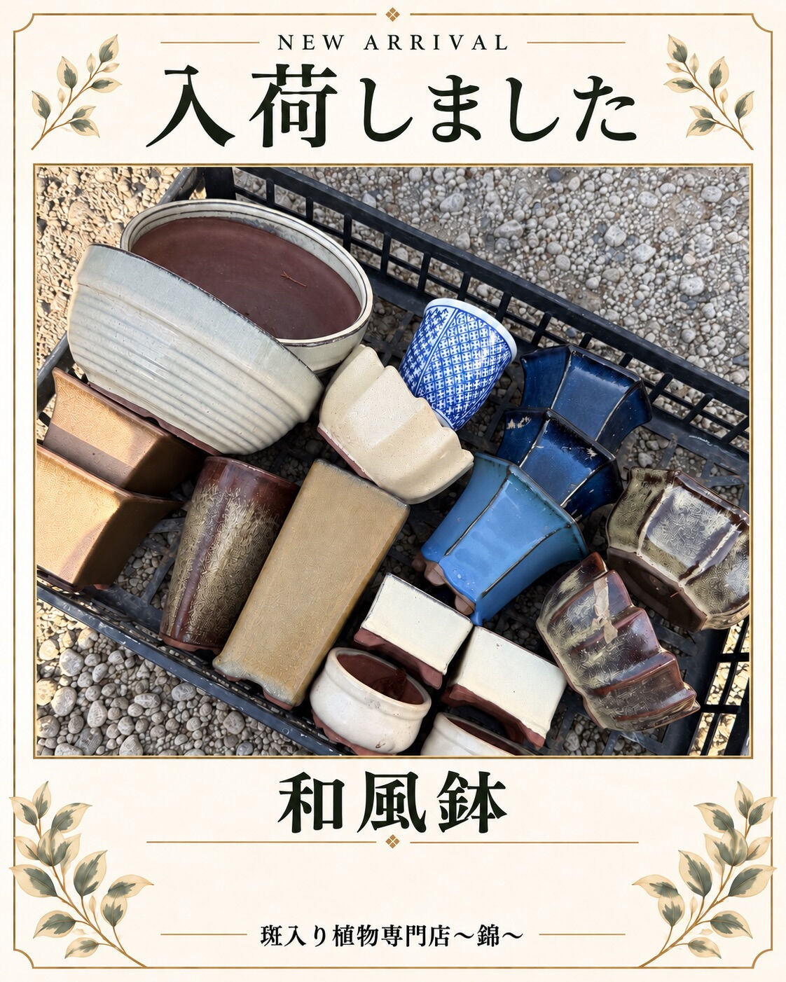 入荷情報ℹ️